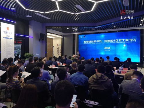 跨國合作再深化 中歐企業家齊聚嘉善西塘話發展